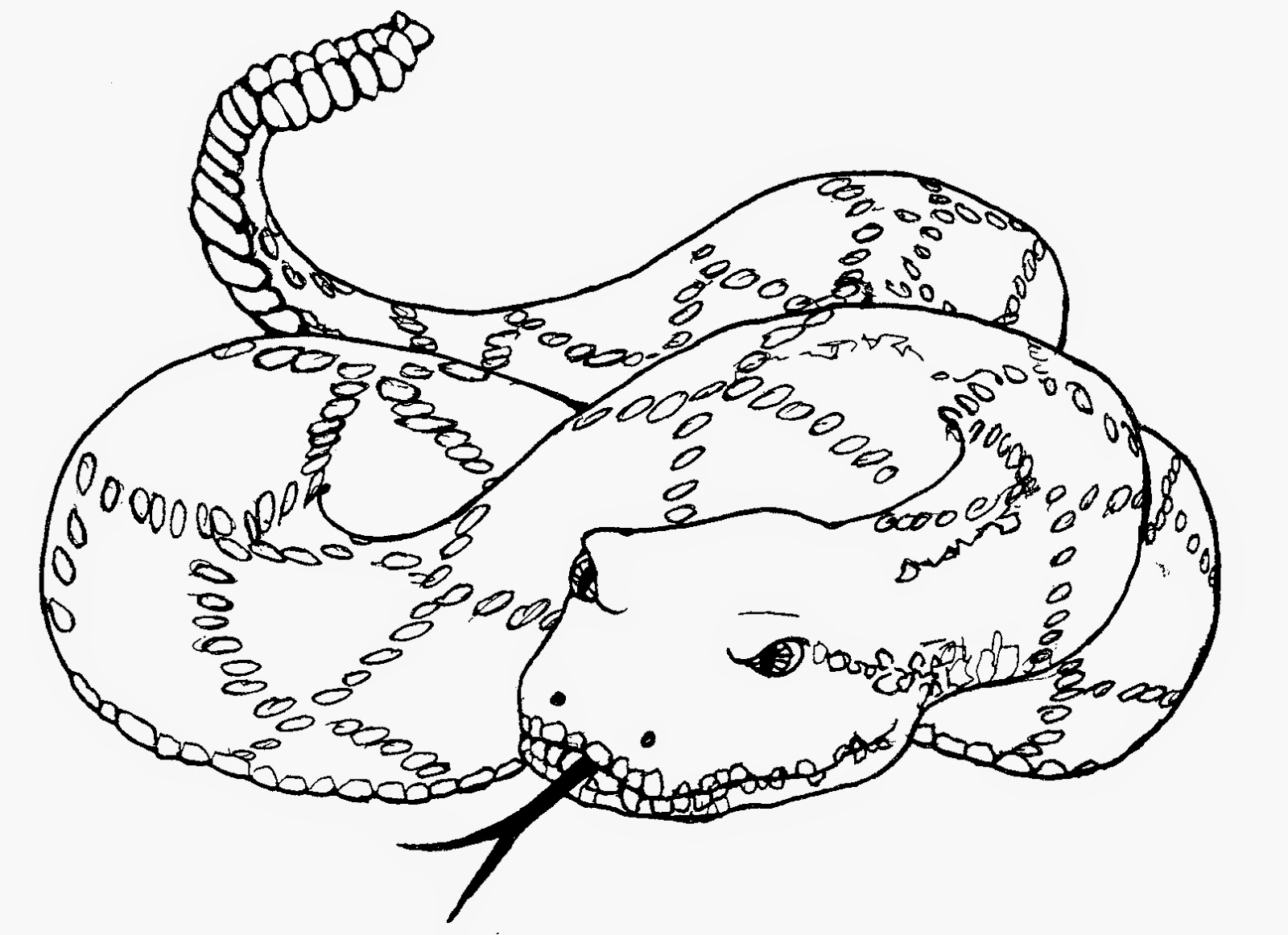 coloring-pages-snakes-coloring-pages-free-and-printable