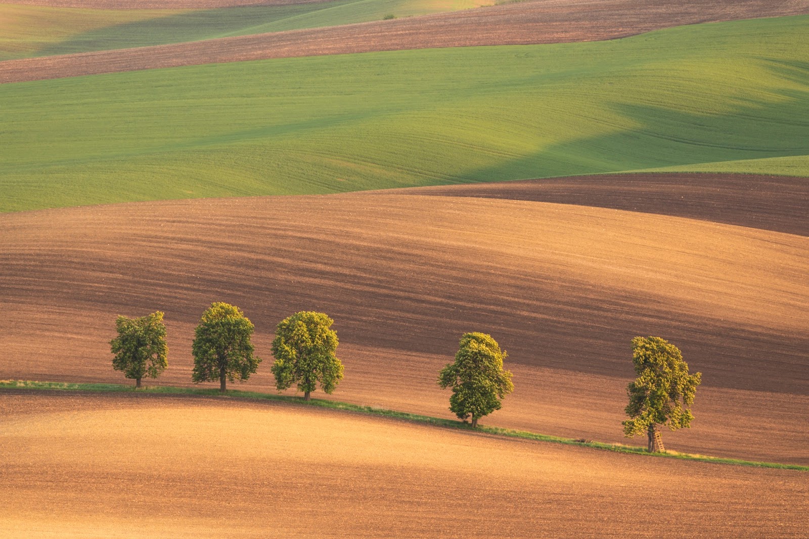 Long Lens Landscape Photography with David Clapp Park Cameras Blog