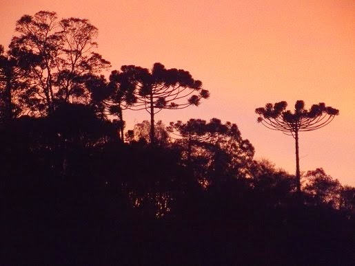 Entardecer na Serra ....