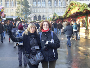 VIATGE A VIENA DESEMBRE 2010