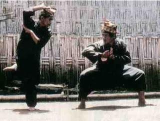 Nasbahry-Intangible: Aliran-aliran Pencak Silat di Minangkabau dan Sejarahnya