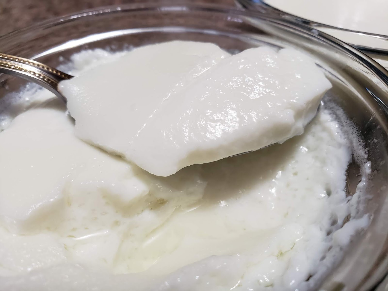 Kristy's Corner Steamed Milk Custard with Coconut milk and Ginger (Dun