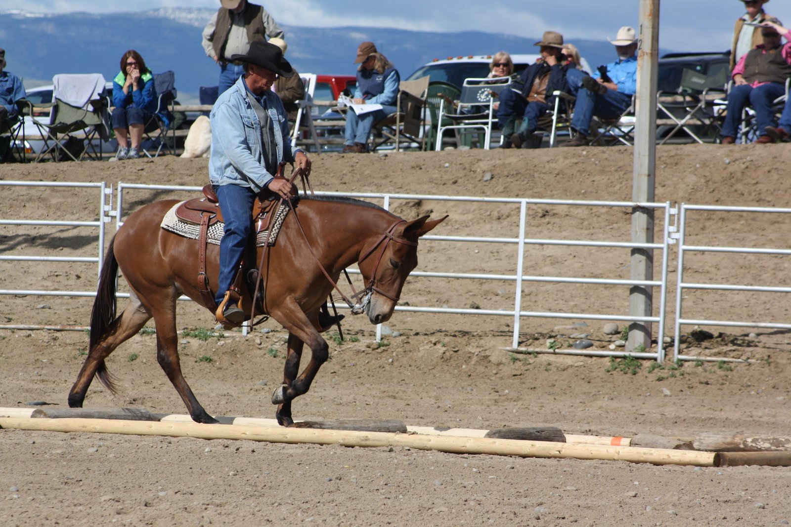 PairADice Mules: More Trail Preview Pictures Jake Clark Mule Days