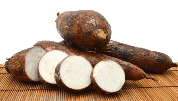 Pengetahuan Bahan Pangan Singkong