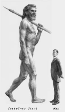 Gigante de Castelnau comparado con un hombre de tamaño medio