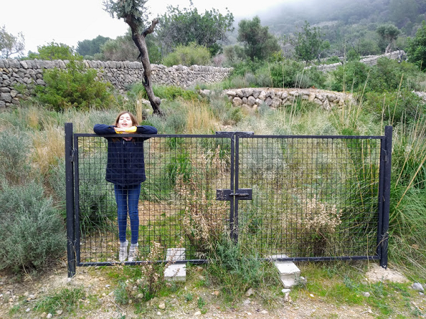 excuriones en Mallorca