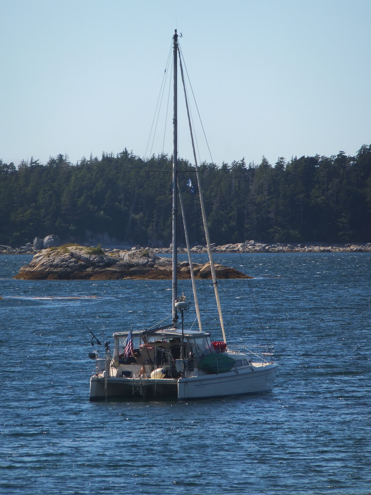 kyrie have a nice day