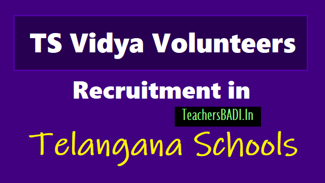 TS 16781 VVs /Vidya Volunteers Recruitment 2019 in Telangana Schools ts vidya volunteers recruitment 201,telangana vidya volunteers recruitment 2019,ts vvs recruitment 2019,ts vidya volunteers recruitment online application form 2019,ts vidya volunteers recruitment selection list results at http://cdse.telangana.gov.in/home.do