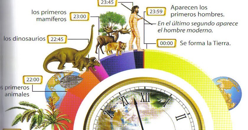 Tajuela Si La Historia De La Tierra Fueran 24 Horas El Hombre Aparece En El último Minuto