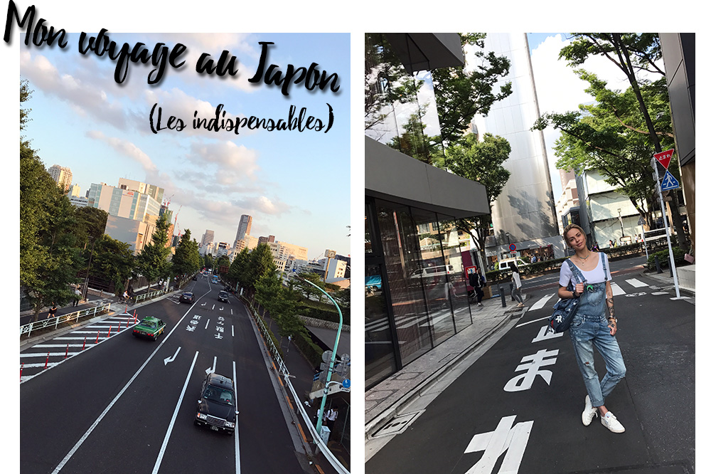 Mon voyage au Japon - Les indispensables