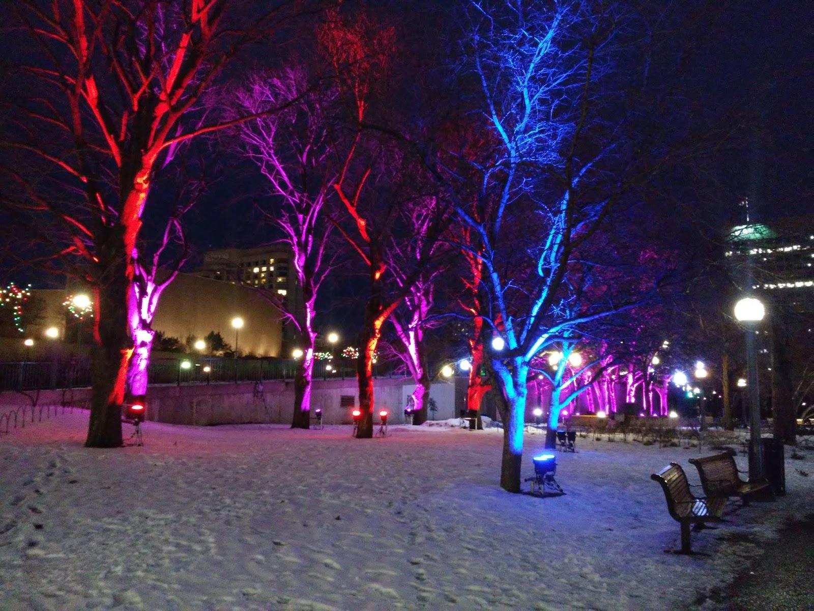 Ottawa Daily Photo The Christmas Lights