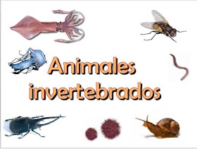¿APRENDEMOS JUNT@S? : ANIMALES INVERTEBRADOS Y VERTEBRADOS.