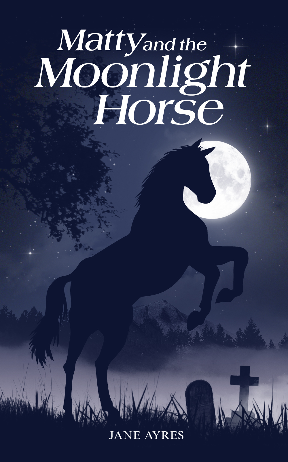 The Beautiful Room Matty and the Moonlight Horse all royalties go to