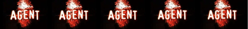 Agent (reality show)