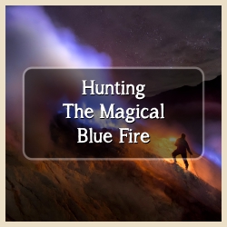 Blue fire Tour Blue fire Tour