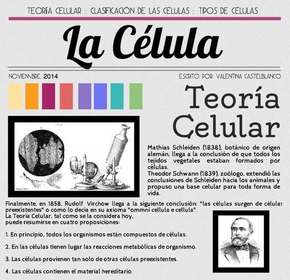 Teoría celular Antecedentes Teoría celular Antecedentes