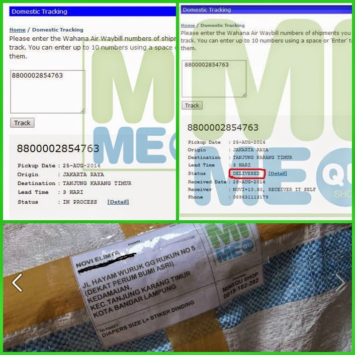 Menggapai Pasar Popok: Panduan Lengkap Berjualan Popok Secara Online