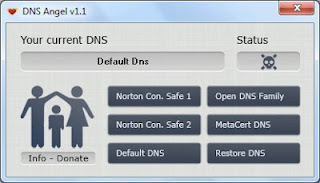 DNS Angel - interfata