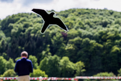 In Vianden (Luxembourg), by Guillermo Aldaya / AldayaPhoto