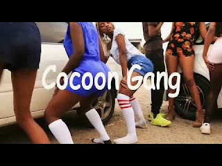 Audio COCOON GANG 254 – CHANGE POSITION Mp3 Download