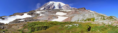 View Looking North, Meadow to Snowfield to Mount Rainier
