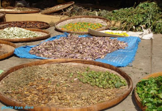 BÀI THUỐC NAM CHỮA BỆNH TRÀO NGƯỢC DẠ DÀY HỮU HIỆU BÀI THUỐC NAM CHỮA BỆNH TRÀO NGƯỢC DẠ DÀY HỮU HIỆU