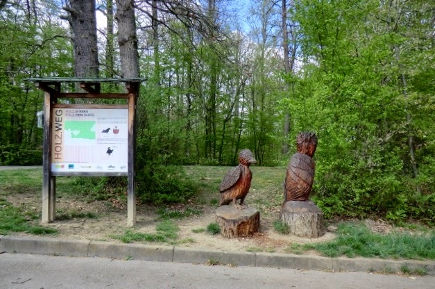 Fotoliesels Erlebniswelt: Naturpark Schönbuch - Bärlauch im ...