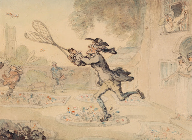 Butterfly Hunting by Thomas Rowlandson