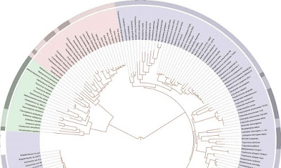 Genomes uncover life's early history