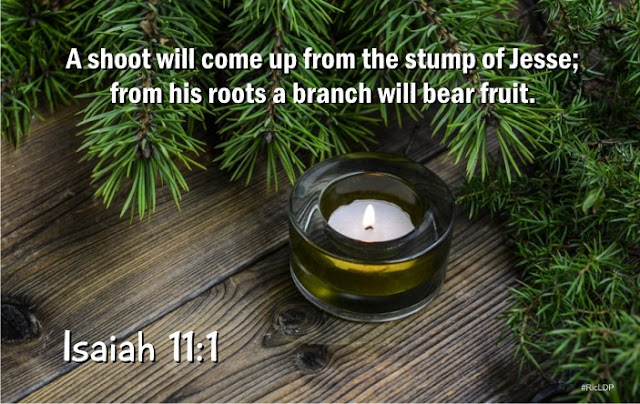 Isaiah 11:1 picture Bible verse