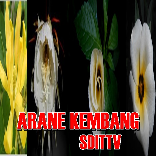 Arane Kembang Nama Bunga Jenenge Kembang Komplit Pelajaran Bahasa Jawa Sekolah Dasar Islam