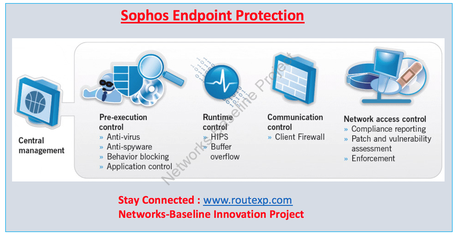 Leaders in Endpoint Security 3 Vendors of Industry Today Route XP