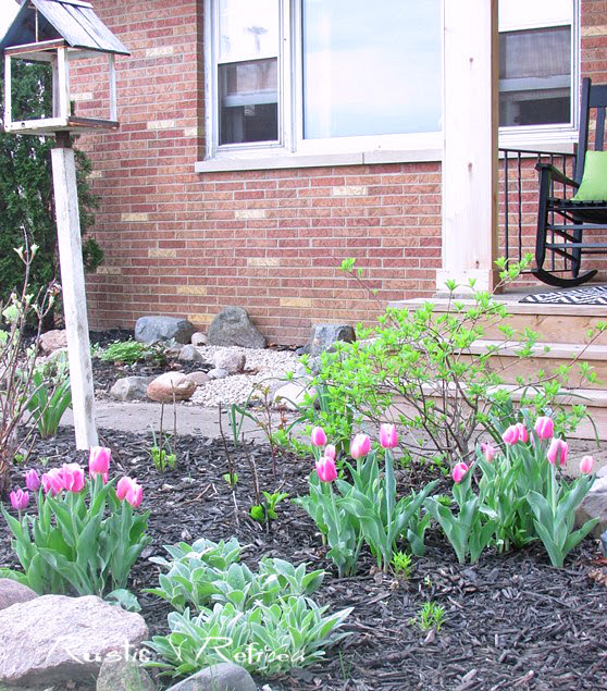 Gardening | Rustic & Refined