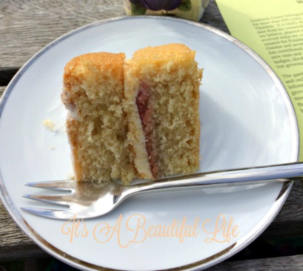 Why Sponge Cake Is Too Hard Why Sponge Cake Is Too Hard