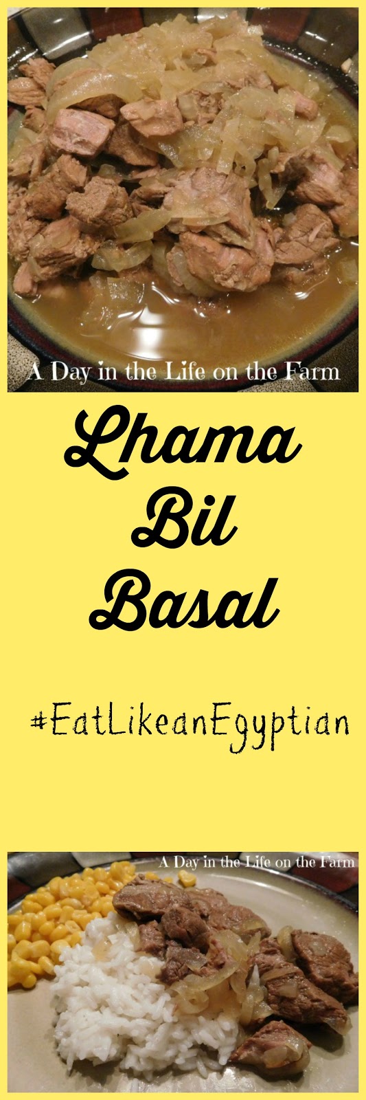 A Day in the Life on the Farm: Lahma Bil Basal #EatLikeAnEgyptian