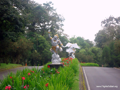 Bedugul Botanic Garden Bali Indonesia 2