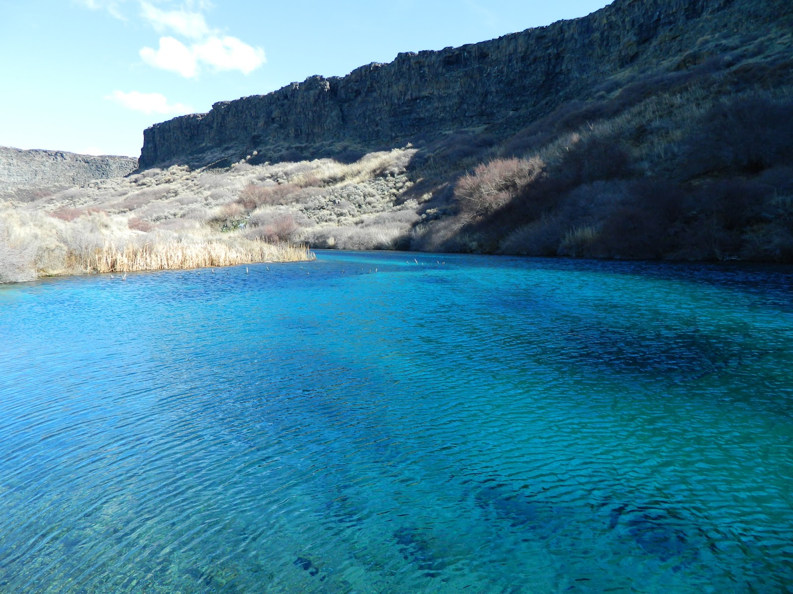 Living in Idaho Box Canyon Springs in February