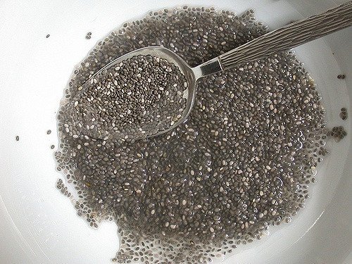 12 Manfaat Chia Seed Untuk Kesehatan, Diet, Ibu Hamil, Anak, Diabetes, dll 12 Manfaat Chia Seed Untuk Kesehatan, Diet, Ibu Hamil, Anak, Diabetes, dll