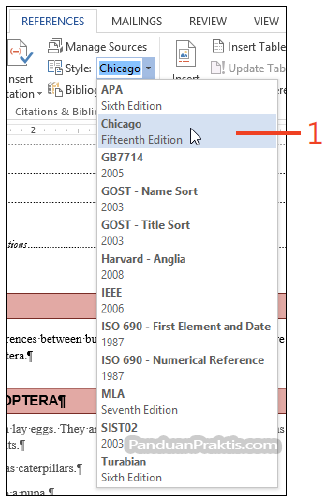 Annotated bibliography youtube picture