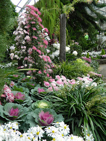 Mum standards at the Allan Gardens Conservatory 2015 Chrysanthemum Show  by garden muses-not another Toronto gardening blog