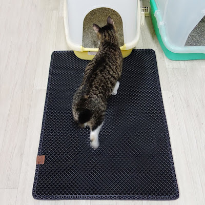 ten hacks for cat owners singapore