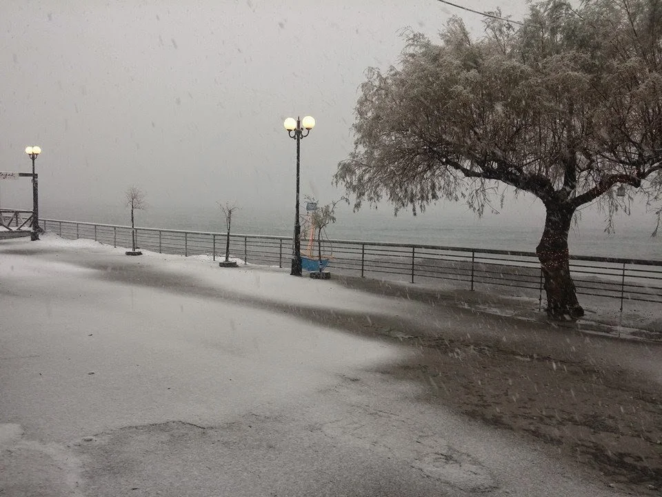 Συμβαίνει τώρα: Σφοδρή χιονόπτωση στην Παραλία Κύμης! (ΦΩΤΟ) 