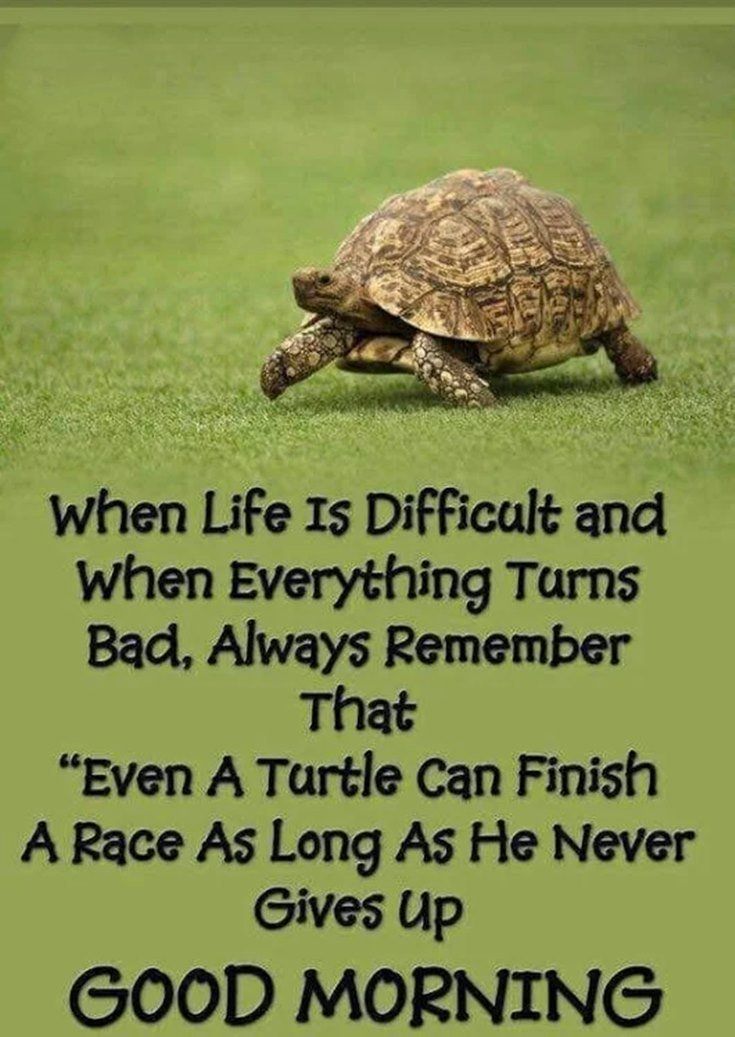 good night cute images