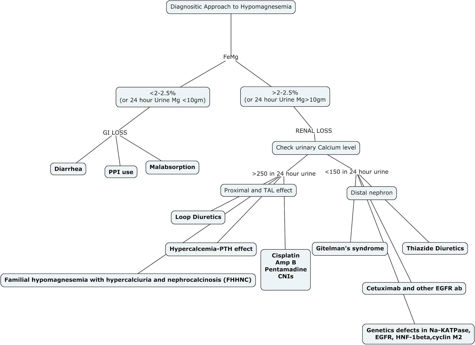 Nephron Power Concept Map Diagnostic Approach To Hypomagnesemia