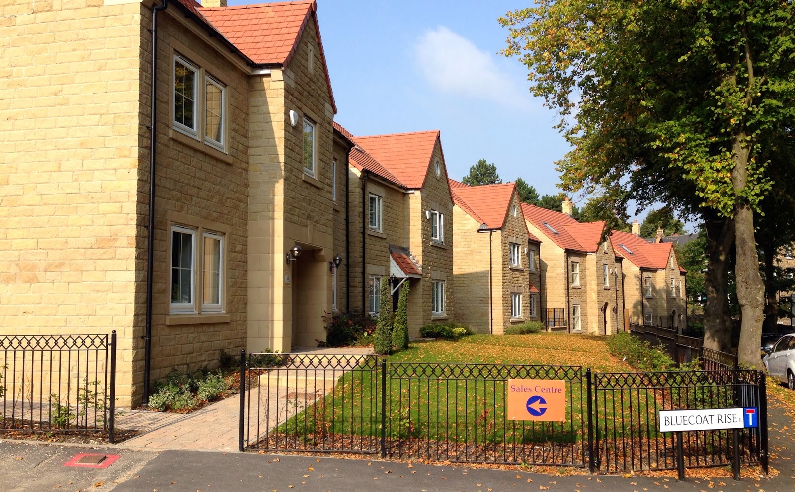 Psalter Lane School For Sale at Zachary Hurst blog