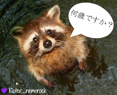 カリオカチャンピオンシップの賞金総額はいくらですか