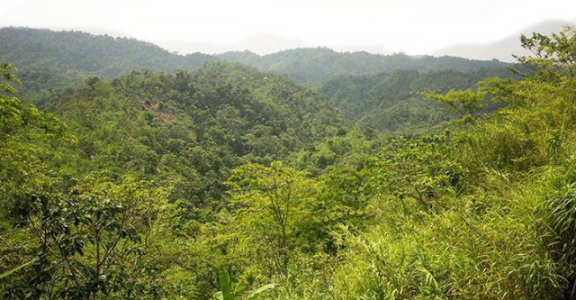 Patharia Hill In Moulvibazar Sylhet