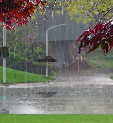 
Lampbrella
