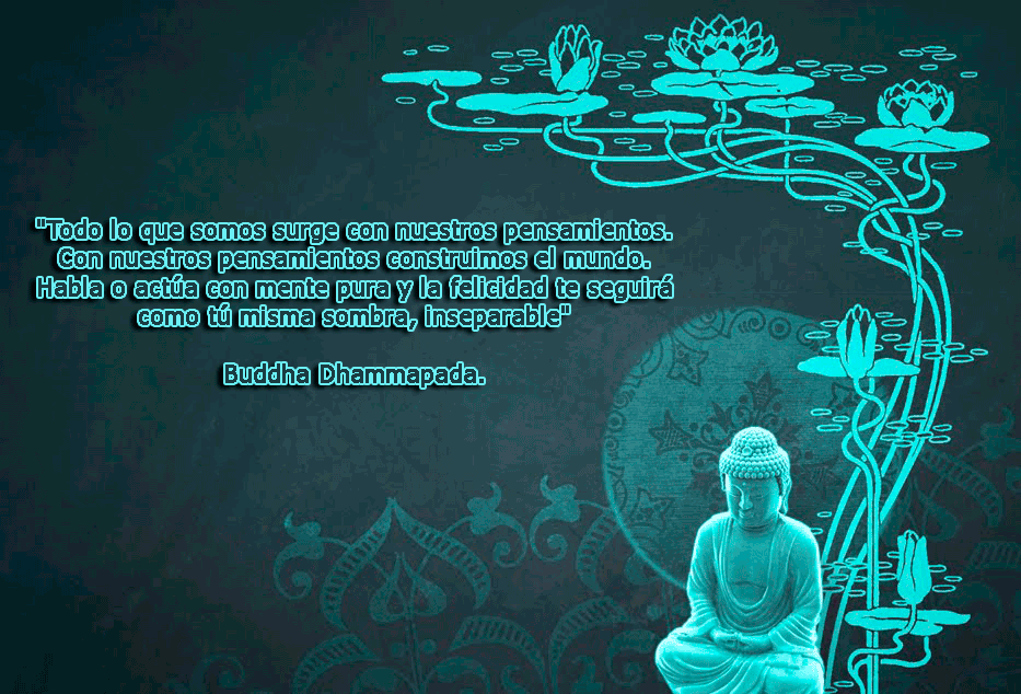 SOY LUZ EN EL CAMINO: LOS 53 SUTRAS DE BUDA (Contiene pdf del libro: Recopilaciones, Cuentos y sutras buda