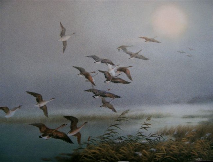 ой летите гуси